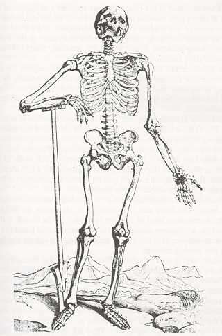med3_1.jpg (20512 bytes)